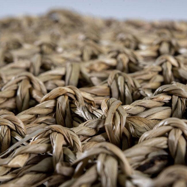 Penn Plax Natural Lizard Lounger - X-Large 29x7