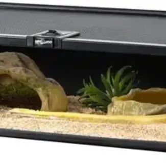 ReptiZoo Mini 20" x 12" x 6" Terrarium Glass