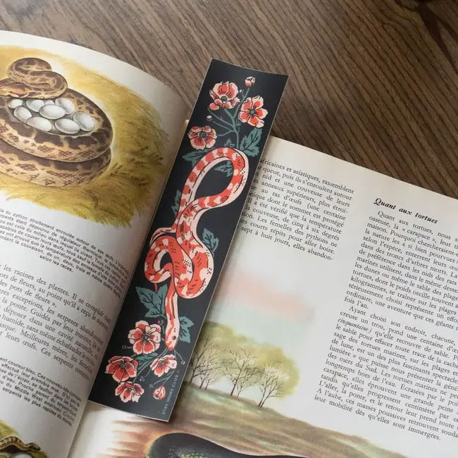 Stay Home Club Serpent Bumper Sticker - Stay Home Club