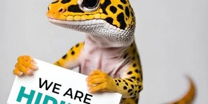 We're Hiring! (2025)