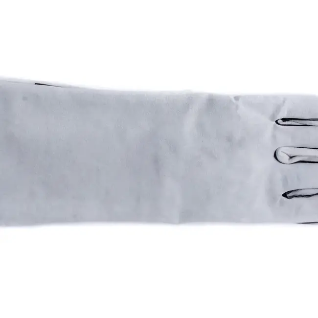 NewCal Reptile Handling Gloves (Leather)