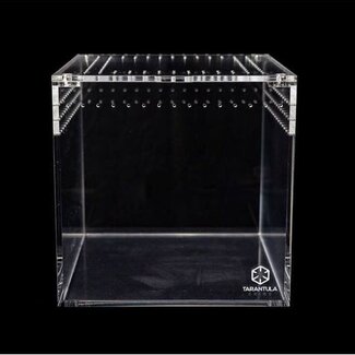 Tarantula Cribs 3" Cube Tarantula Cribs