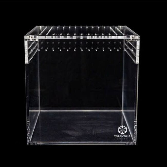 3" Cube Tarantula Cribs