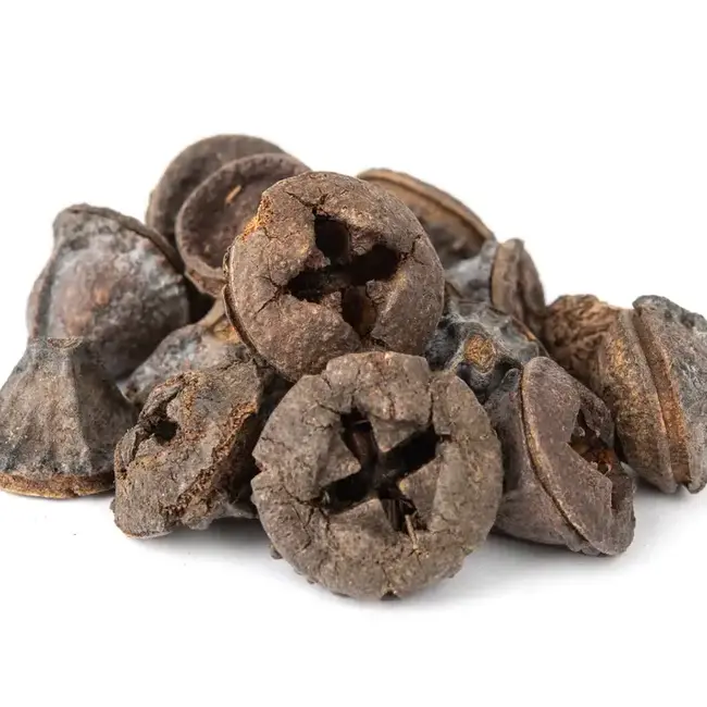 NewCal NewCal Eucalyptus Button Pods 1.5 oz