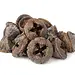 NewCal Eucalyptus Button Pods 1.5 oz