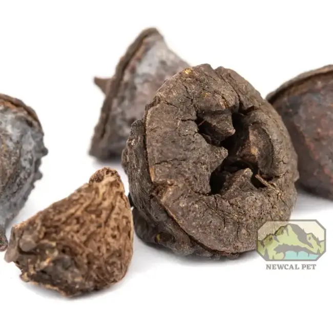 NewCal Eucalyptus Button Pods 1.5 oz