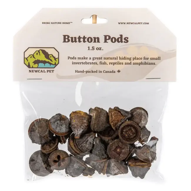 NewCal NewCal Eucalyptus Button Pods 1.5 oz