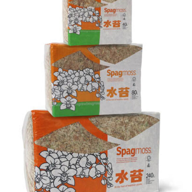 Besgrow Sphagnum Moss 80L / 1kg (2.2 lb)