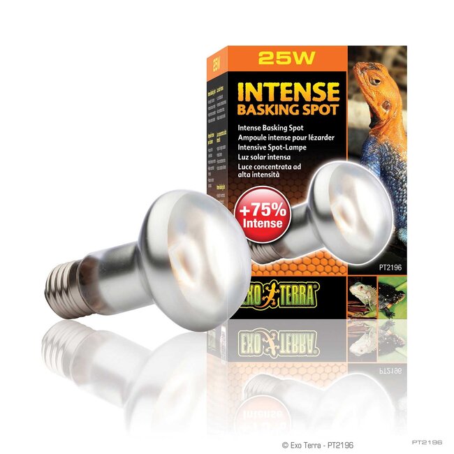 Exo Terra Intense Basking Spot 25W