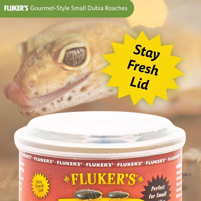 Flukers Fluker's Canned Dubia Roaches 1.2oz