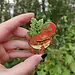 Frog Tree Games Tomato Frog Pin Frog Tree Games