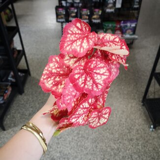 Red Leaf Fake Plant Bush Suction 9x6"