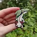 Frog Tree Games Axolotl 2" Enamel Pin Frog Tree Games