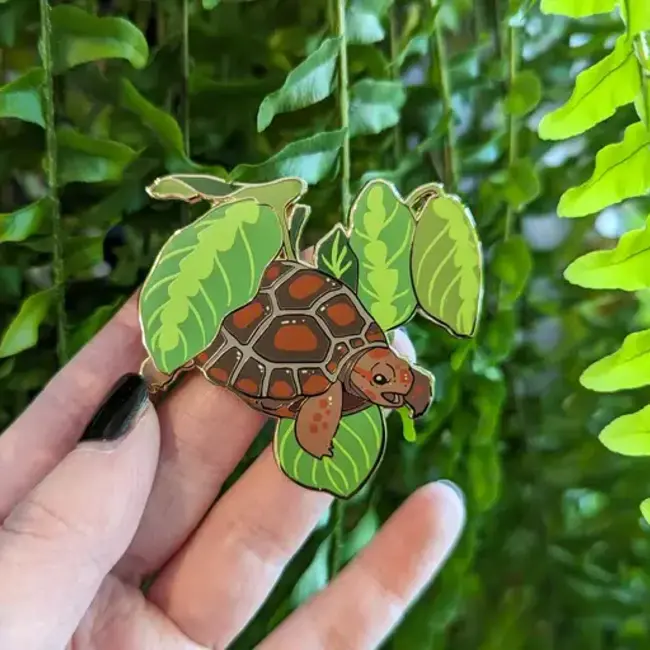 Frog Tree Games Red Footed Tortoise - Herpetoflora ii Enamel 2.5" Pin Frog Tree Games