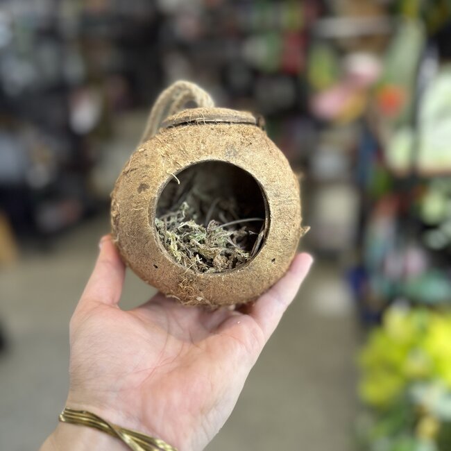 Hanging Coconut Hide with Moss