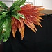 Roonami Boston Fern - Large - Fall Colours 19"