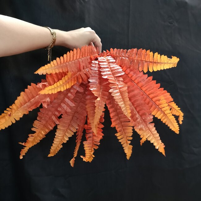 Roonami Boston Fern - Large - Fall Colours 19"