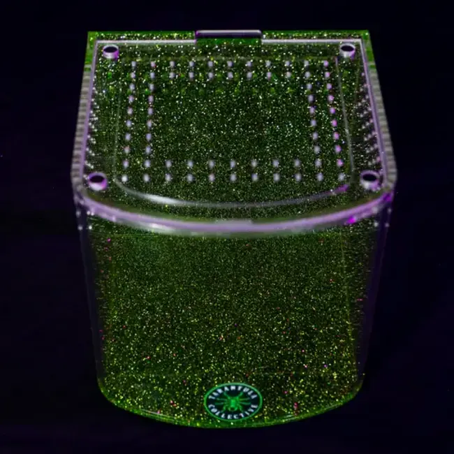 Tarantula Cribs Bow Front Green Glitter The Tarantula Collective x Tarantula Cribs