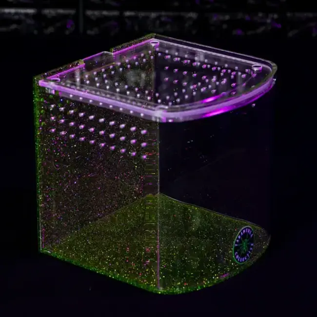 Tarantula Cribs Bow Front Green Glitter The Tarantula Collective x Tarantula Cribs