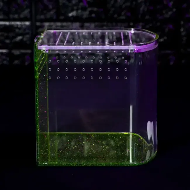 Tarantula Cribs Bow Front Green Glitter The Tarantula Collective x Tarantula Cribs