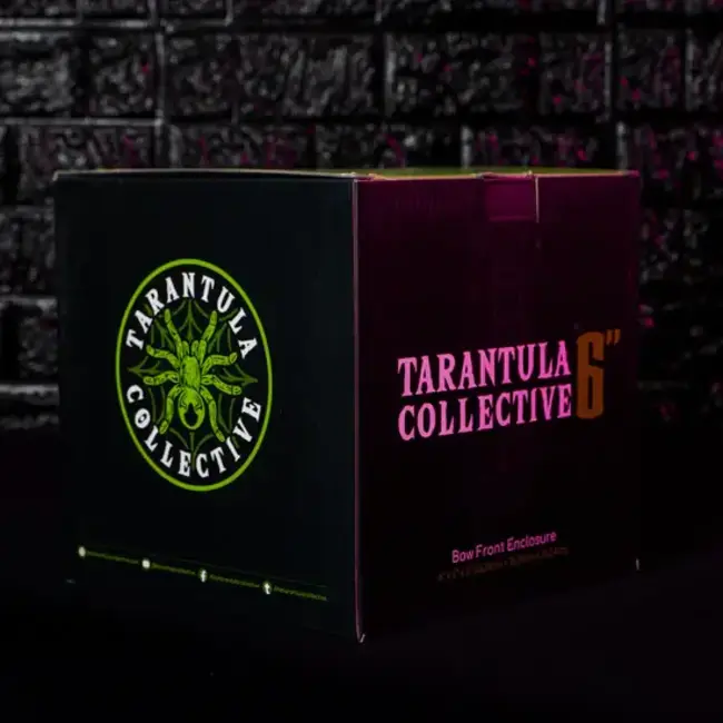 Tarantula Cribs Bow Front Green Glitter The Tarantula Collective x Tarantula Cribs