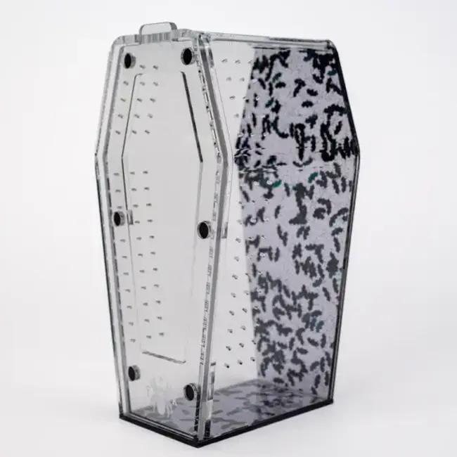 Gone Batty Coffin Crib - Special Edition (limited re-release) Tarantula Cribs