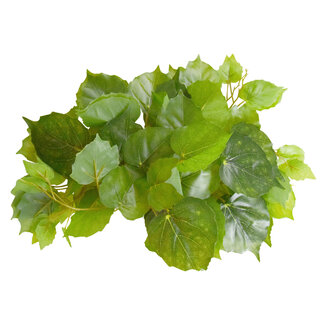 RT Pothos Fake Plant 60"