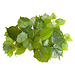 RT Pothos Fake Plant 60"