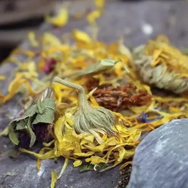 Arcadia Arcadia EarthPro Optimised-Indulgence 60g Bag