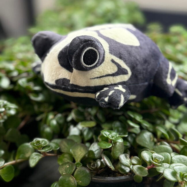Skele Frog Plush by Frog Tree Games