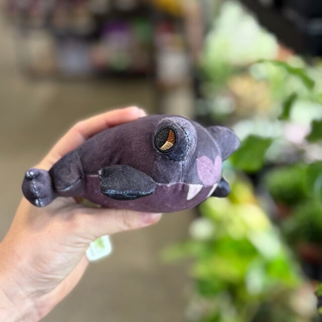 Frog Tree Games Bat Frog Plush by Frog Tree Games