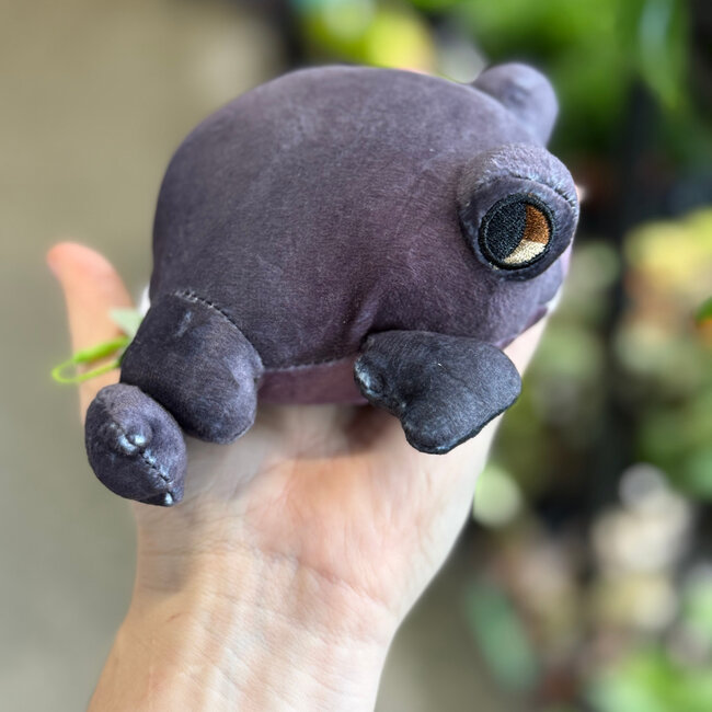 Frog Tree Games Bat Frog Plush by Frog Tree Games