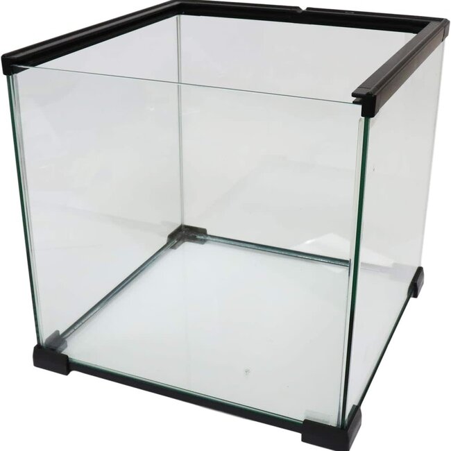 ReptiZoo Mini 12.2" x 12.2" x 12" Terrarium Glass