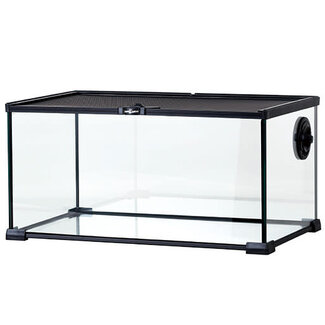 ReptiZoo 20" x 12" x 10" Mini Terrarium Glass (with Cable Pass)