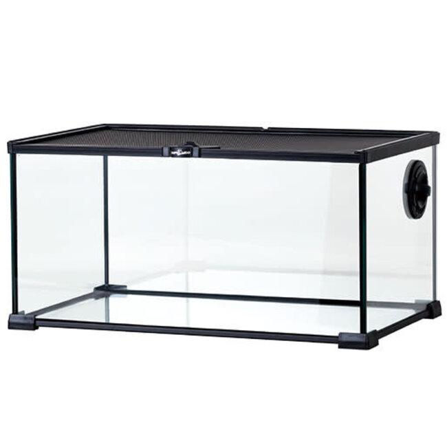 ReptiZoo 20" x 12" x 10" Mini Terrarium Glass (with Cable Pass)