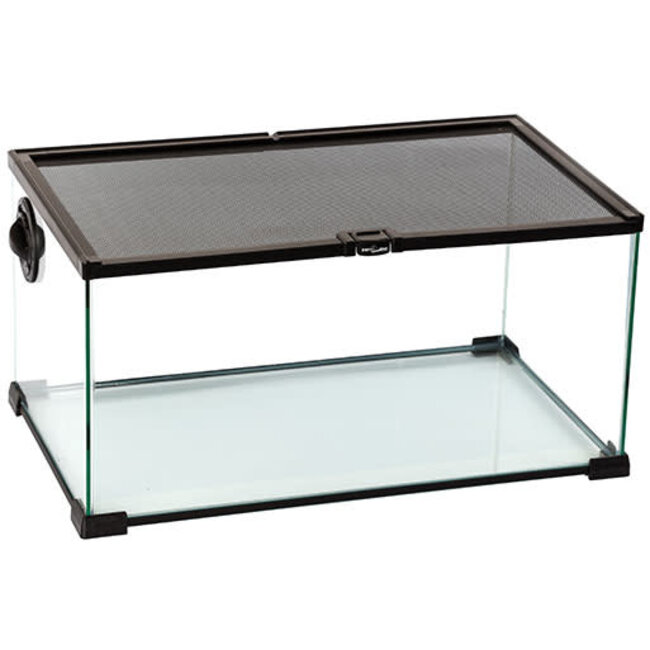 ReptiZoo 20" x 12" x 10" Mini Terrarium Glass (with Cable Pass)