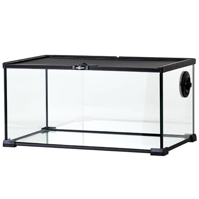 ReptiZoo 20" x 12" x 10" Mini Terrarium Glass (with Cable Pass)