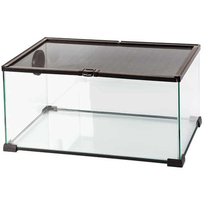 ReptiZoo 20" x 12" x 10" Mini Terrarium Glass (with Cable Pass)