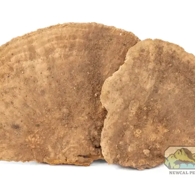 NewCal NewCal Mini Sponge Mushrooms 3 Pack