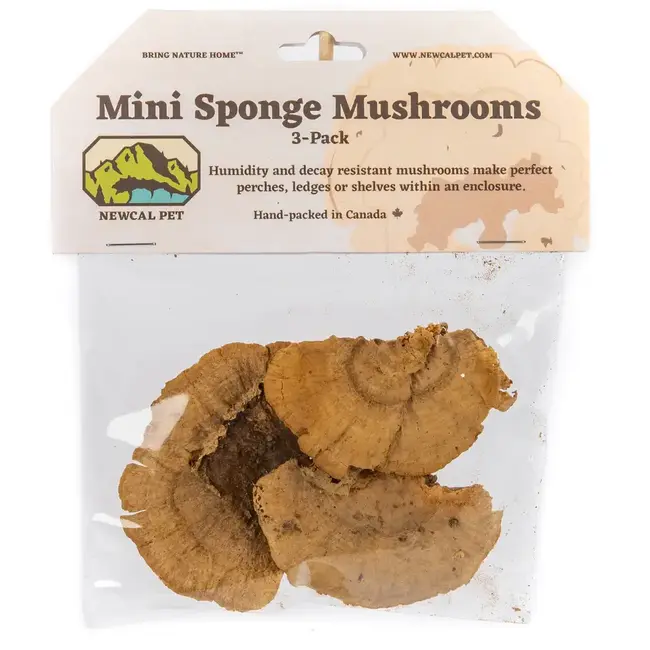 NewCal Mini Sponge Mushrooms 3 Pack