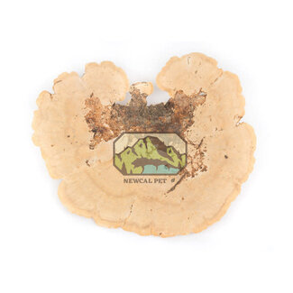 NewCal Sponge Mushroom 2 Pack NewCal Sponge Mushroom 2 Pack