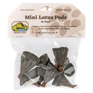 NewCal Lotus Pods Mini 10 pack NewCal Lotus Pods Mini 10 pack