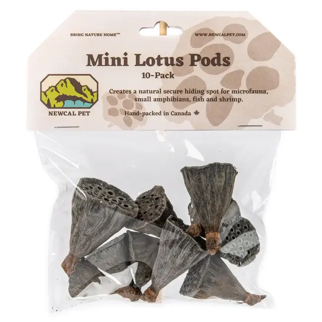 NewCal Lotus Pods Mini 10 pack