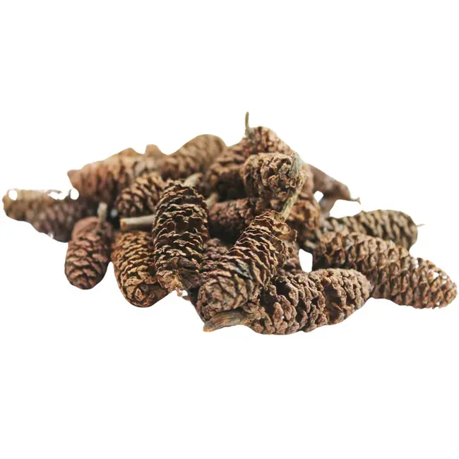 The Coned Pack 50-50-25