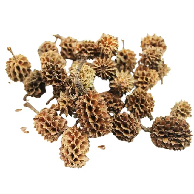 The Coned Pack 50-50-25