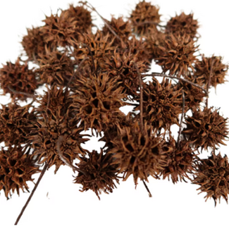 Gumball Pods 10 pack