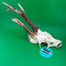 Roe Deer Skull 'A'