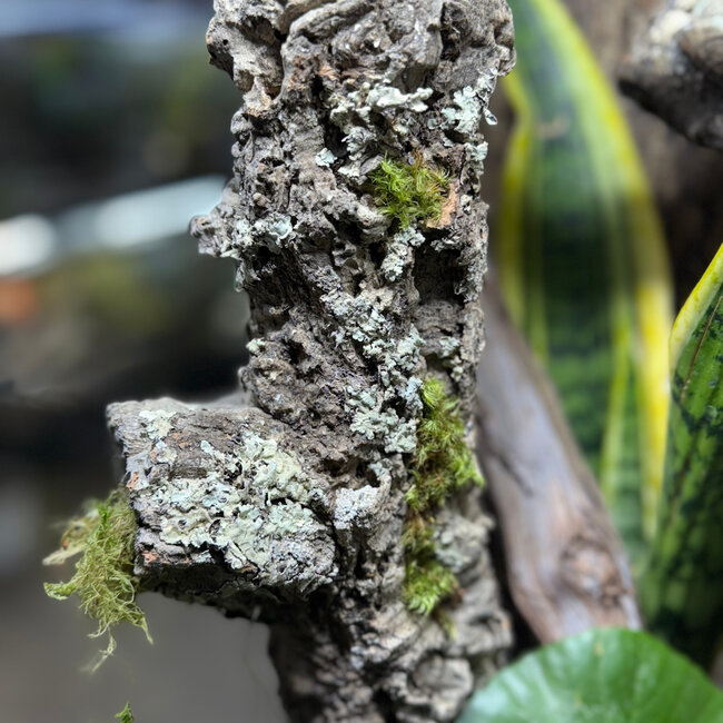 Custom 18x18x24" Pro Build