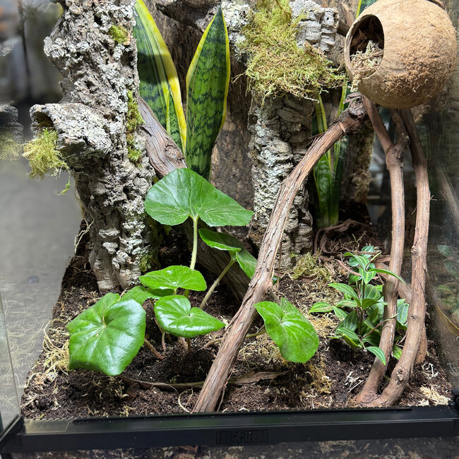 Custom 18x18x24" Pro Build