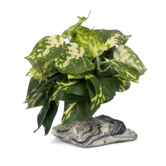 Habo-Scape Tropical Plant on Stone Base